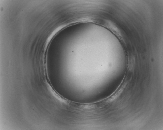 X0000070410808200606091150