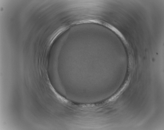 X0000070410809200606091150