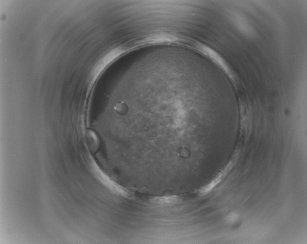 X0000070410810200606091150