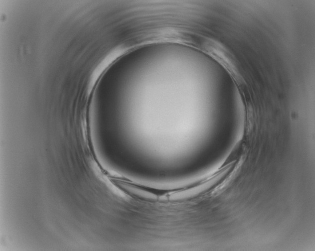 X0000070410812200606091150