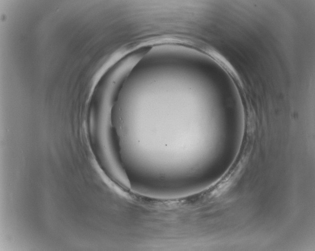 X0000070410813200606091150