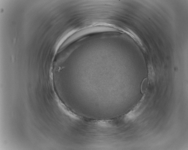 X0000070410814200606091150