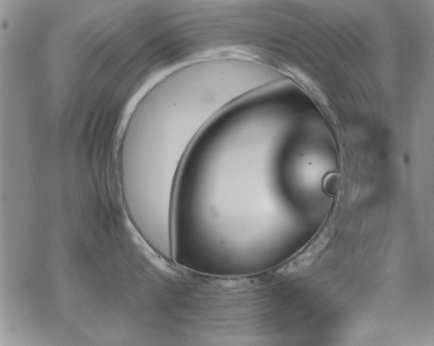 X0000070410816200606091149