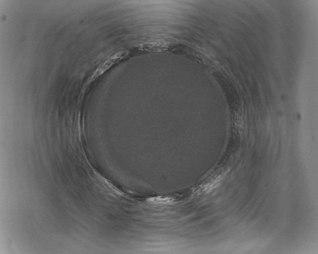 X0000070410818200606091149