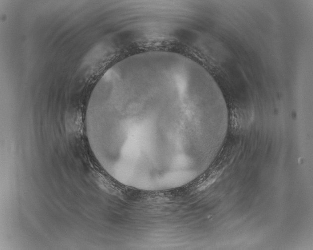 X0000070410820200606091149