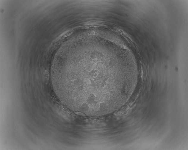 X0000070410821200606091149