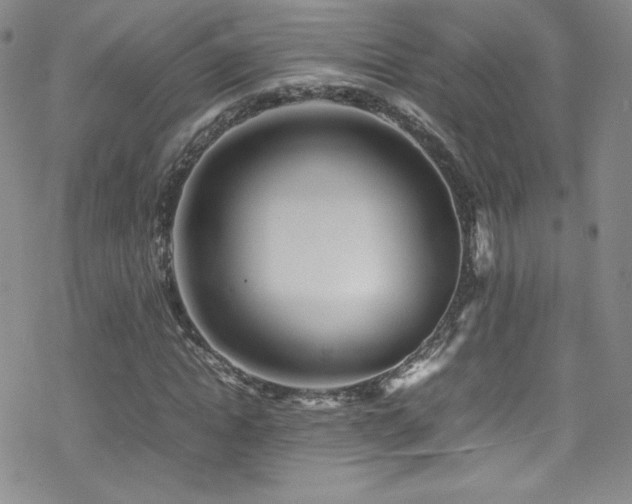 X0000070410822200606091149