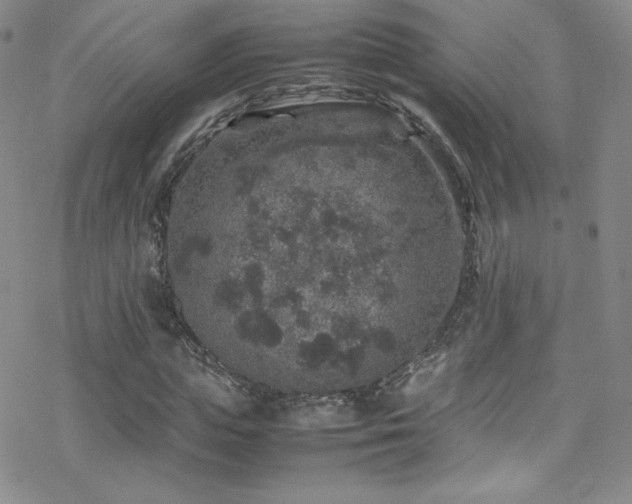 X0000070410823200606091149