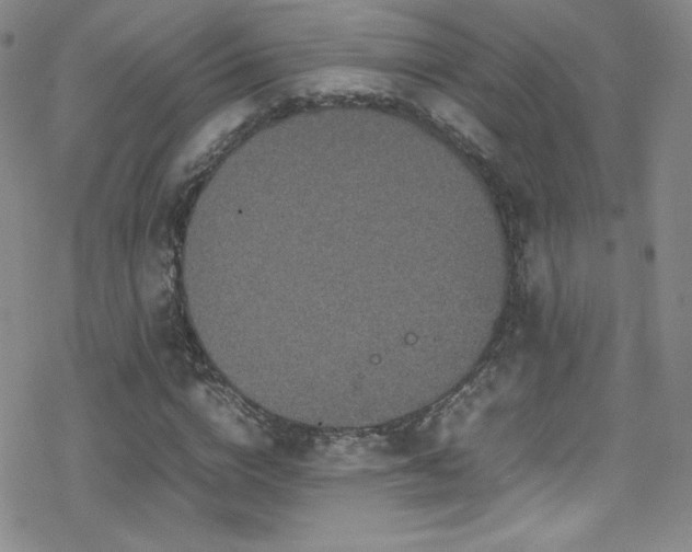 X0000070410824200606091149