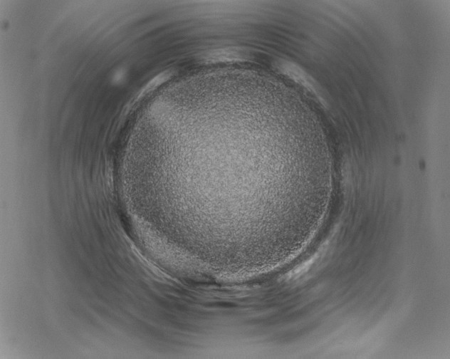 X0000070410825200606091149