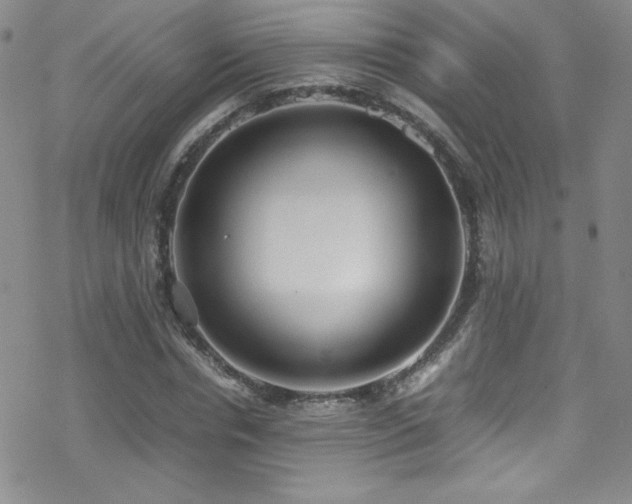 X0000070410826200606091149