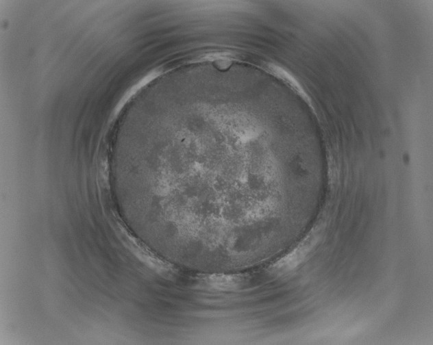 X0000070410827200606091149