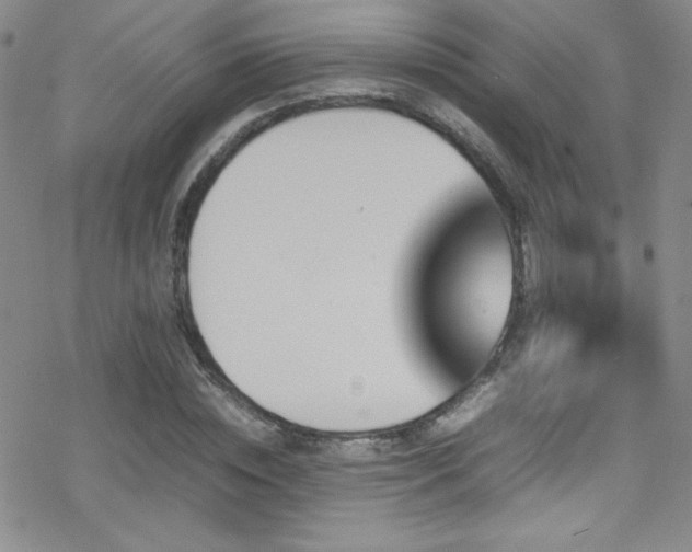 X0000070410828200606091149