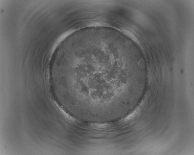 X0000070410831200606091149