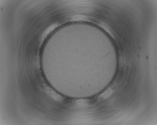 X0000070410832200606091149