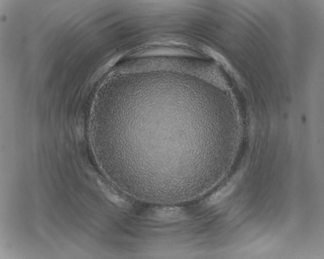 X0000070410833200606091149