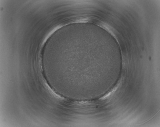 X0000070410835200606091149