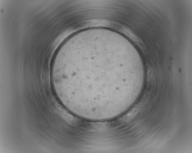 X0000070410836200606091149