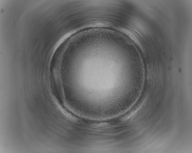 X0000070410837200606091149