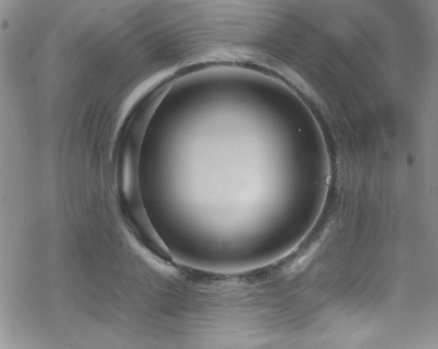 X0000070410838200606091149