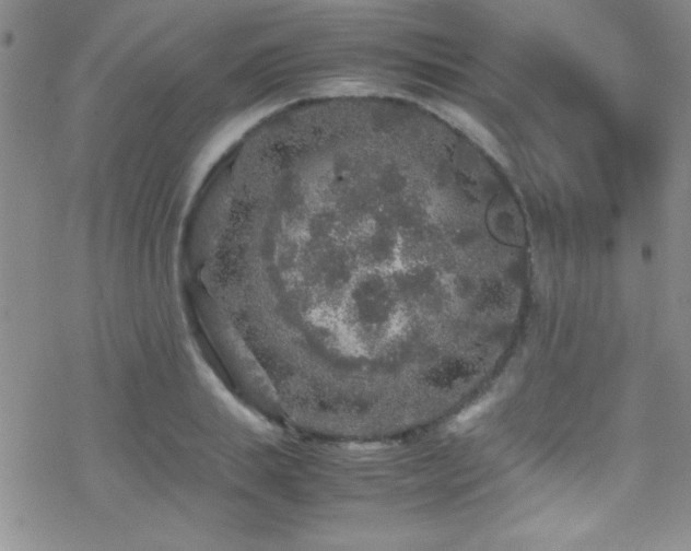 X0000070410839200606091149