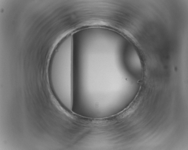 X0000070410840200606091149