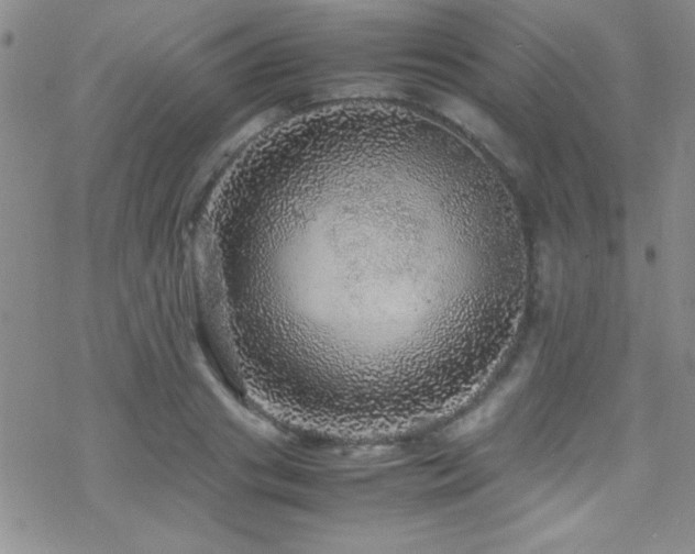 X0000070410841200606091149