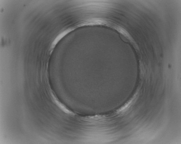 X0000070410842200606091149