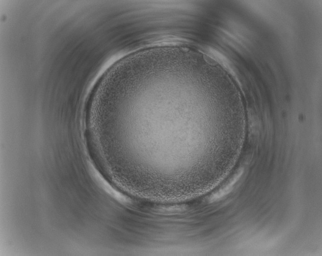 X0000070410843200606091149