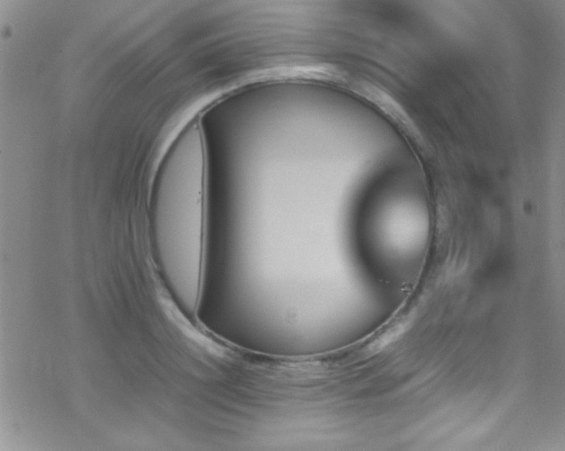 X0000070410844200606091149