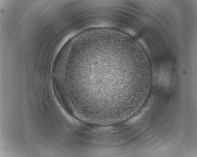 X0000070410845200606091149