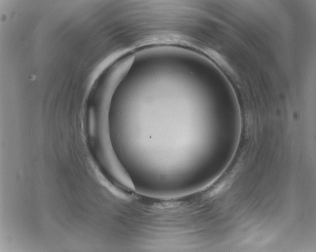 X0000070410846200606091149