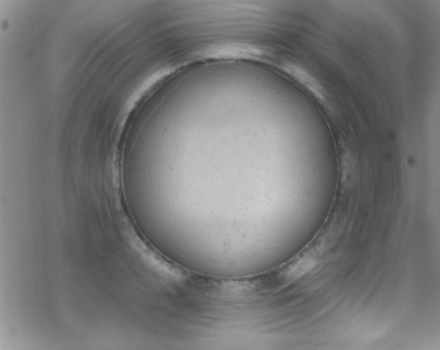 X0000070410848200606091149