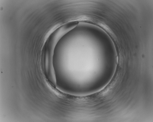 X0000070410850200606091149