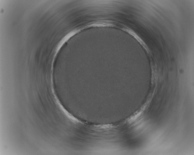 X0000070410853200606091149