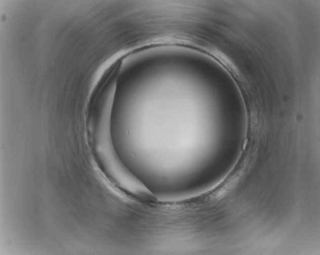 X0000070410854200606091149