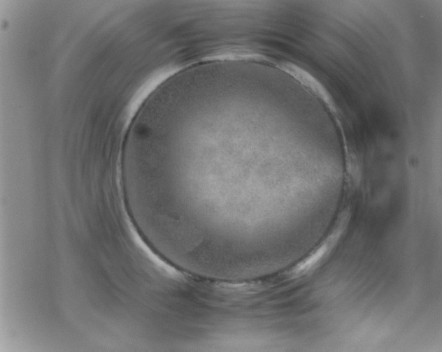 X0000070410855200606091149