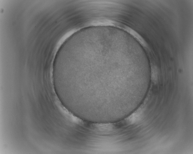 X0000070410856200606091149