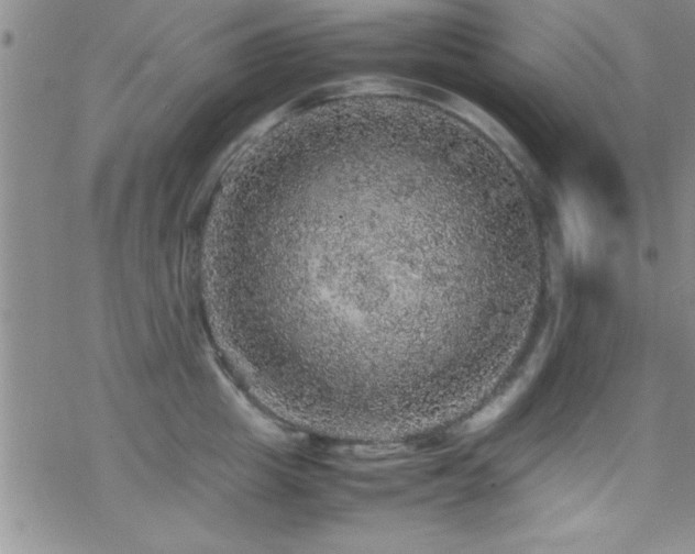 X0000070410857200606091149