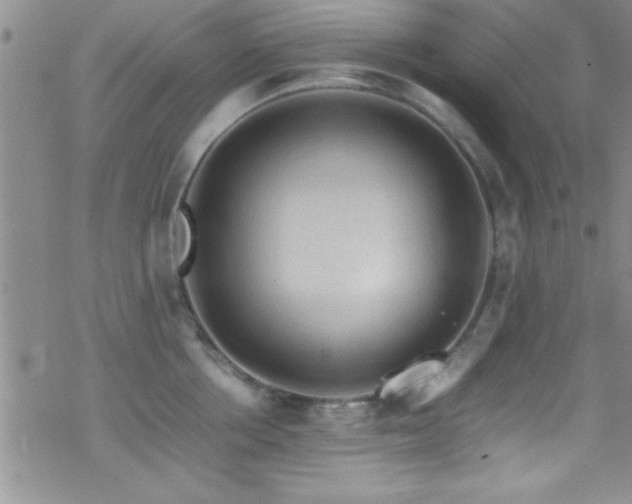 X0000070410858200606091149