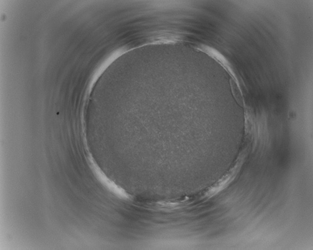 X0000070410859200606091149