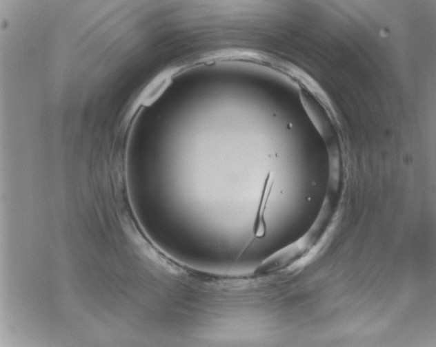 X0000070410860200606091149