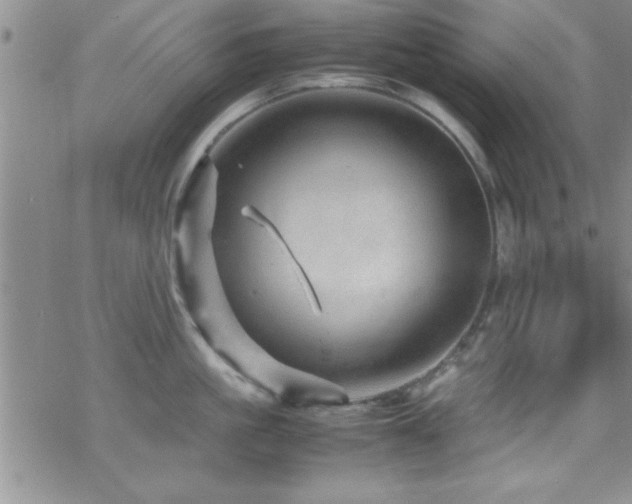 X0000070410861200606091149