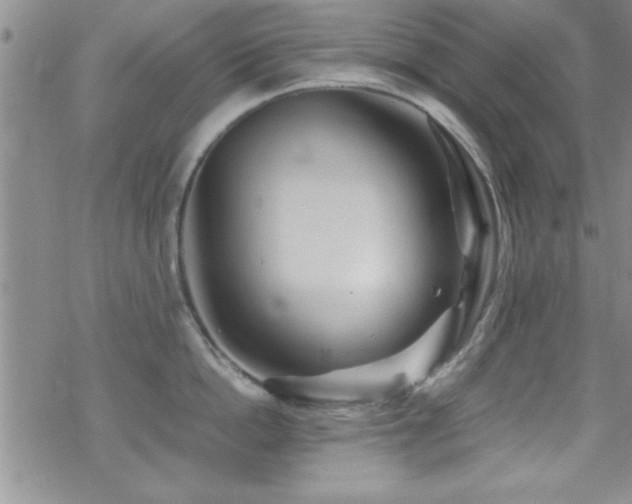 X0000070410862200606091149