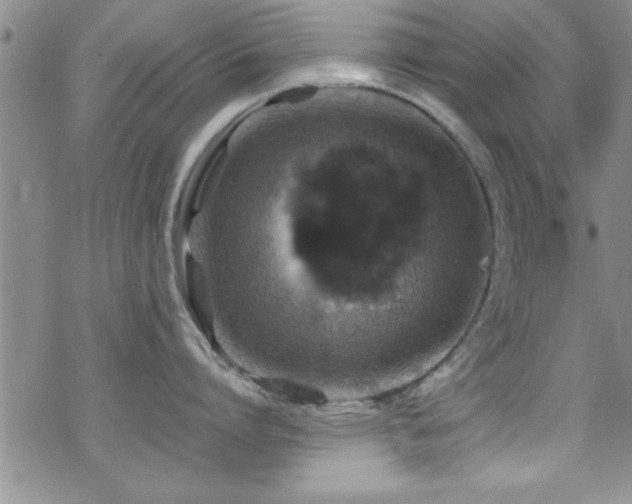 X0000070410864200606091149