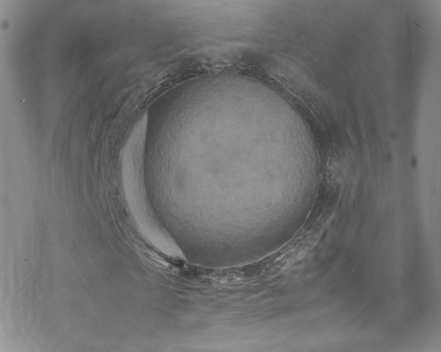 X0000070410865200606091149