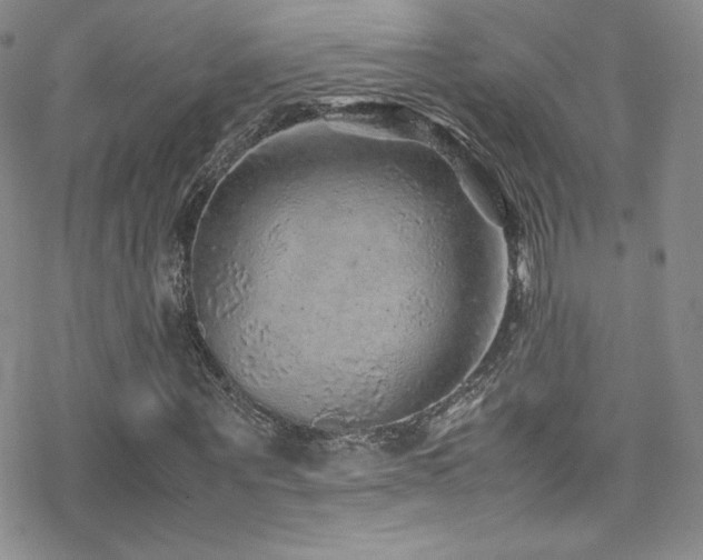 X0000070410867200606091149