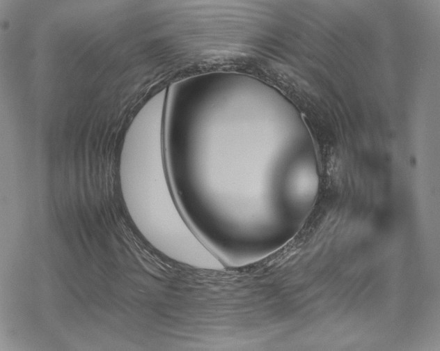 X0000070410868200606091149