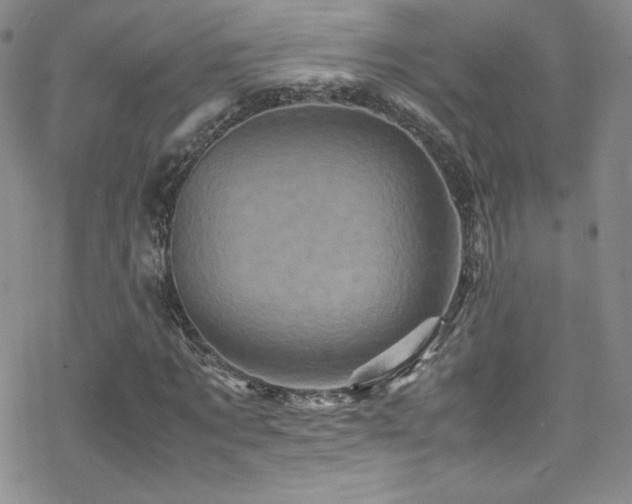 X0000070410869200606091149