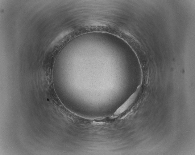 X0000070410870200606091149